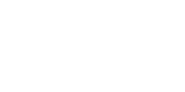 Toyota Advisor